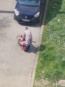 Deka iz Zagreba svakog dana vozi starog psa u kolicima na livadu