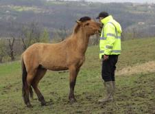 Srđan i Jelena Strainović bave se radnim turizmom u selu Lopatnica