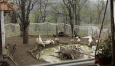 Imanje Srđana i Jelene Strainović u selu Lopatnica