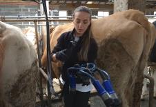 2026-03-26 09_05_13-Od teških uslova do savremene muže_ priča majke i kćerke sa farme mliječnih krav.png