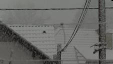 Nevreme Slovenija (10).png