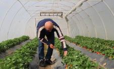 Screenshot 2026-03-30 150457.png