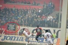 celik1.jpg
