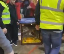 Vuk na turniru u Ulcinju 4.jpg