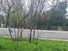 Humska ulica izbodena žena (4).jpeg