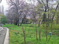 Humska ulica izbodena žena (5).jpeg