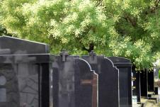 MONDO NASLOVNA 6 copy.jpg