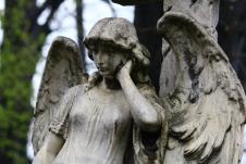 НАСЛОВНА МОНОДО.jpg