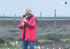 Screenshot 2026-04-01 145924.png