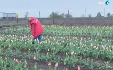 Screenshot 2026-04-01 150153.png