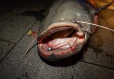 Screenshot 2026-04-02 103003.jpg