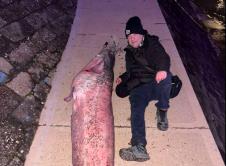 Screenshot 2026-04-02 122343.jpg