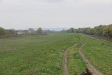 WhatsApp Image 2026-04-02 at 12.53.55 (2).jpeg