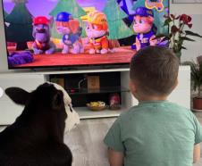 Sin Tamare Garović sa teletom