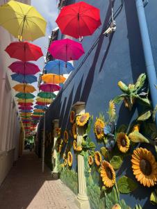 0601 Jovana Bojić , privatna arhiva (11).jpg