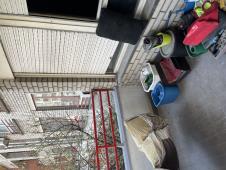 IMG_7510.jpeg