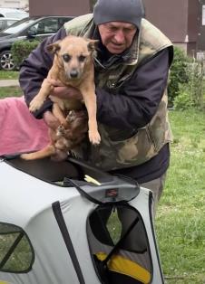 Screenshot 2026-04-05 123711.png