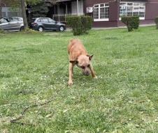 Screenshot 2026-04-05 123716.png