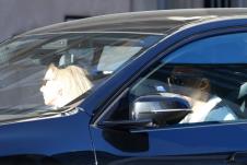 profimedia-1088038167 (1).jpg