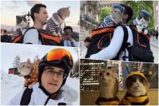 Lazar Joksimović i njegove mačke