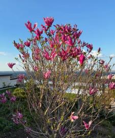 Screenshot 2026-04-07 213859.png