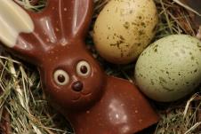 Čokoladni zeka Uskrs