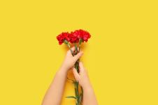 shutterstock_2300168317.jpg