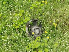 WhatsApp Image 2026-04-11 at 12.52.54.jpeg