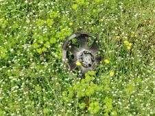 WhatsApp Image 2026-04-11 at 12.52.54 (1).jpeg