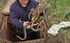 Screenshot 2026-04-11 180501.png