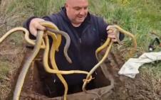 Screenshot 2026-04-11 180613.png