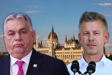 shutterstock_2754095293 copy.jpg