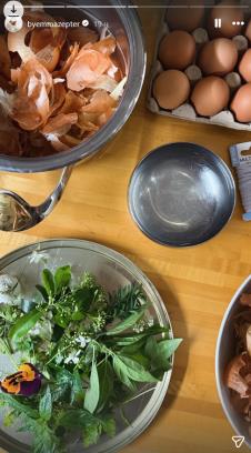 Ema Cepter farba jaja