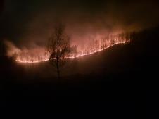 šumski požar Bijelo Polje