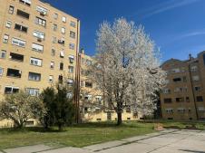 Screenshot 2026-04-14 133805.png