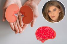 Jovanka Hrvačević/bubrezi/mozak