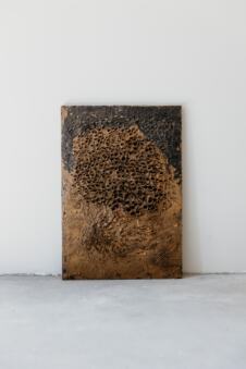 Djapovic -Ana- SOIL-Dig 3,45x65cm.jpg