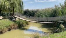 Mali Dunav Radmilovac (10).png