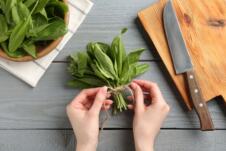 Žena vezuje sveže listove kiselice kanapom, sivi drveni sto, daska za sečenje i nož