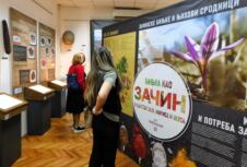 LOZNICA - Sve o začinima.jpg