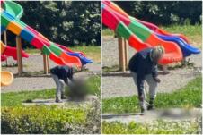 Italija migrant Nigerijac mačka