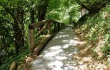 Screenshot 2026-04-22 135822.png