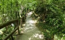 Screenshot 2026-04-22 135747.png