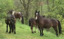 Screenshot 2026-04-22 185148.png