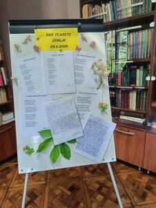 Dan planete Zemlje u Futogu