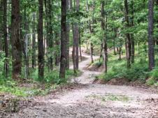 Staza zdravlja u Pribojskoj Banji.jpg