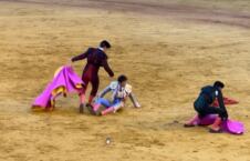 Andreas Roca Rey matador