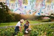 bašta baštovani evri