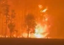 Screenshot 2026-04-25 115257.png