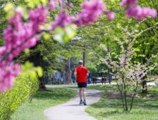 vremenska prognoza, proleće, park (8).jpeg